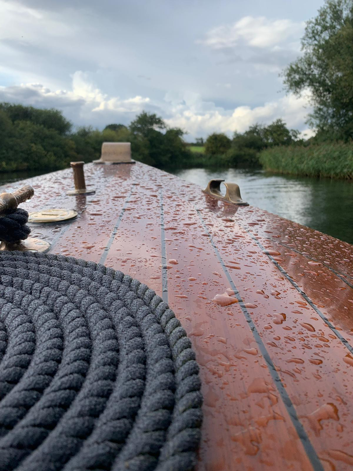 Norfolk Mead Ranger Tour with the Broads Authority